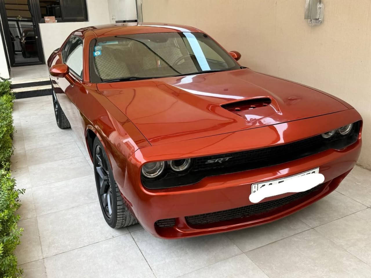 السلام عليكم
بيع او مراوس 

دوج جالنجر موديل 2022

مواصفات جي تي

رادار

مري هيتر

تبريد قطعتين 

كامرا خلفية

حساس

شاشة جبيرة

تحكم ستيرن 

كشن امامي كهرباء 

ماشية 55 الف كيلو 

حادث مثل ما موضح بالصور
بيها قطع صبغ ابيع عام 

سيارة نصبة وكاملة بدون اي نقص

المكان بغداد 
الشراي يتصل ***********
