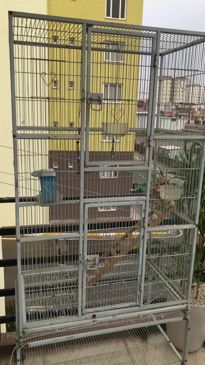 للبيع


**إذا كنت صاحب هذا الإعلان وتريد حذفه لأي سبب، رجاءا أرسل رسالة إلى الدعم الفني**