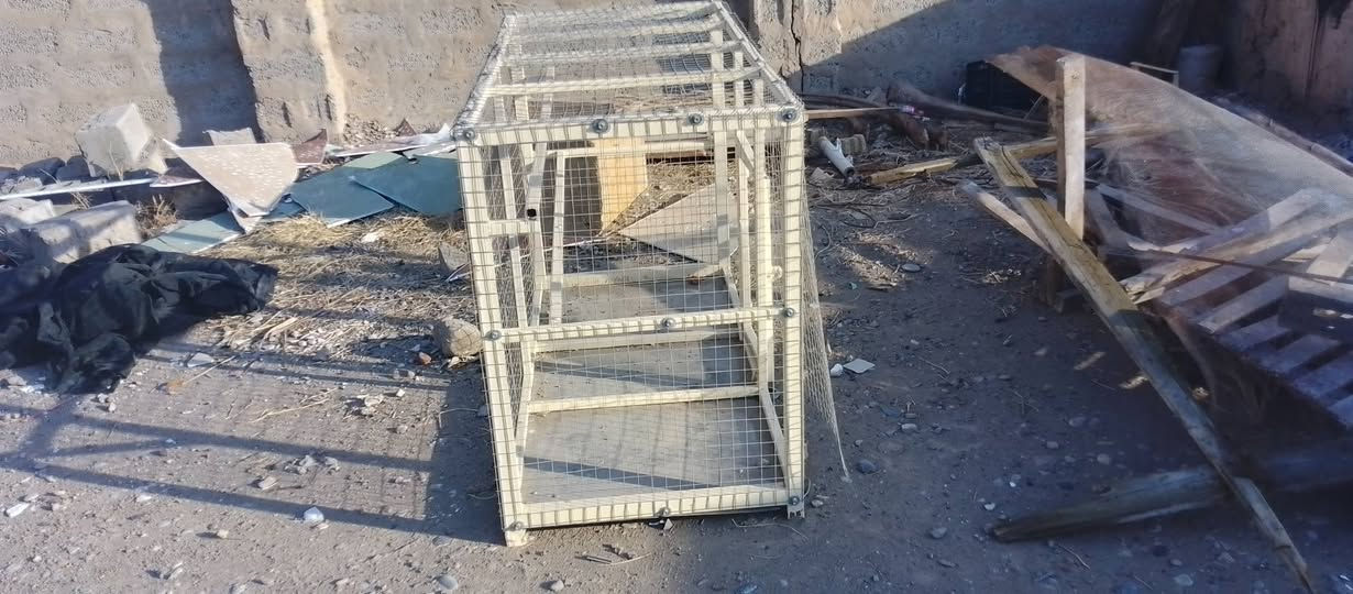 السلام عليكم قفص حديد جاهز قياس طول 2متر عرض متر ارضيه فافون سعر 85بي مجال للاستفسار ***********
