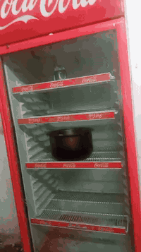 بغداد مدينه الصدر ***********
