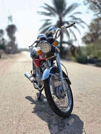 نجف حريه • موديل 24 • أوراق