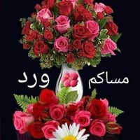 دونم • كربلاء طوريج • مقابل المعهد الفني