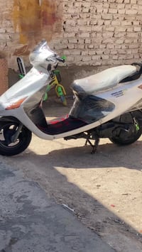 سكنس فحل • النجف • قفل