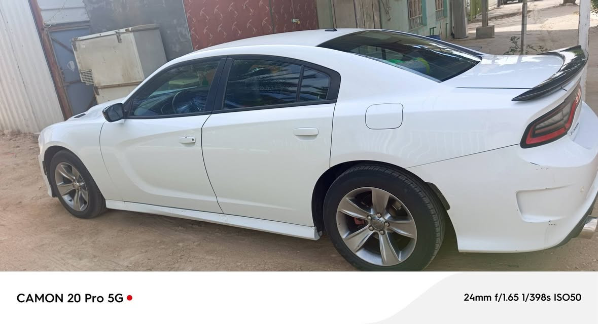 لليع جارجر ٢٠١٥ أصل لاضربه ولاصبغ بيها كتاب سونار سيارة استخدام شخصي مكانها الناصريه سعرها ١٨٥


**إذا كنت صاحب هذا الإعلان وتريد حذفه لأي سبب، رجاءا أرسل رسالة إلى الدعم الفني**