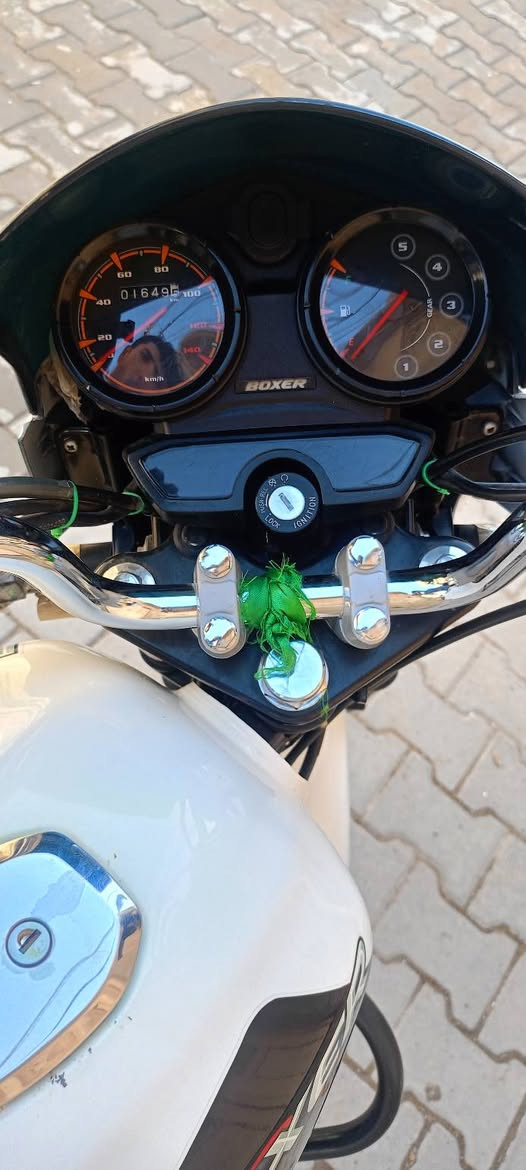 بوكسر 2023 رقم انكليزي
سنويه بأسمي تحويل ثاني يوم 
***********
كوت / مركز
