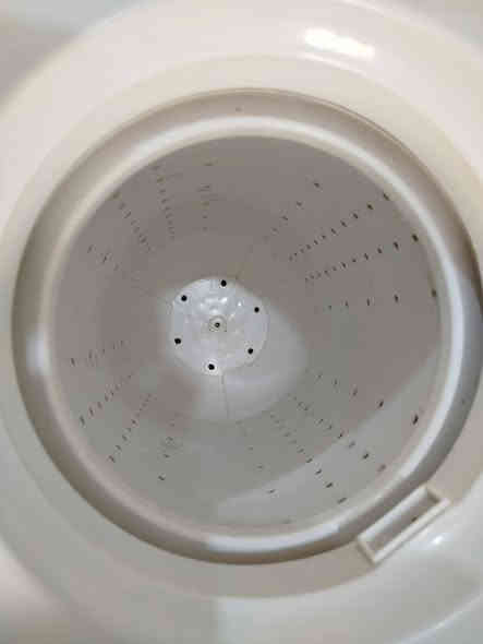 للبيع نوع رويل حجم وصط جاهزه غسل وتنشيف سعر 85 مكاني كربلاء حي العامل ***********👈*********** واتساب وماسنجر موجود
