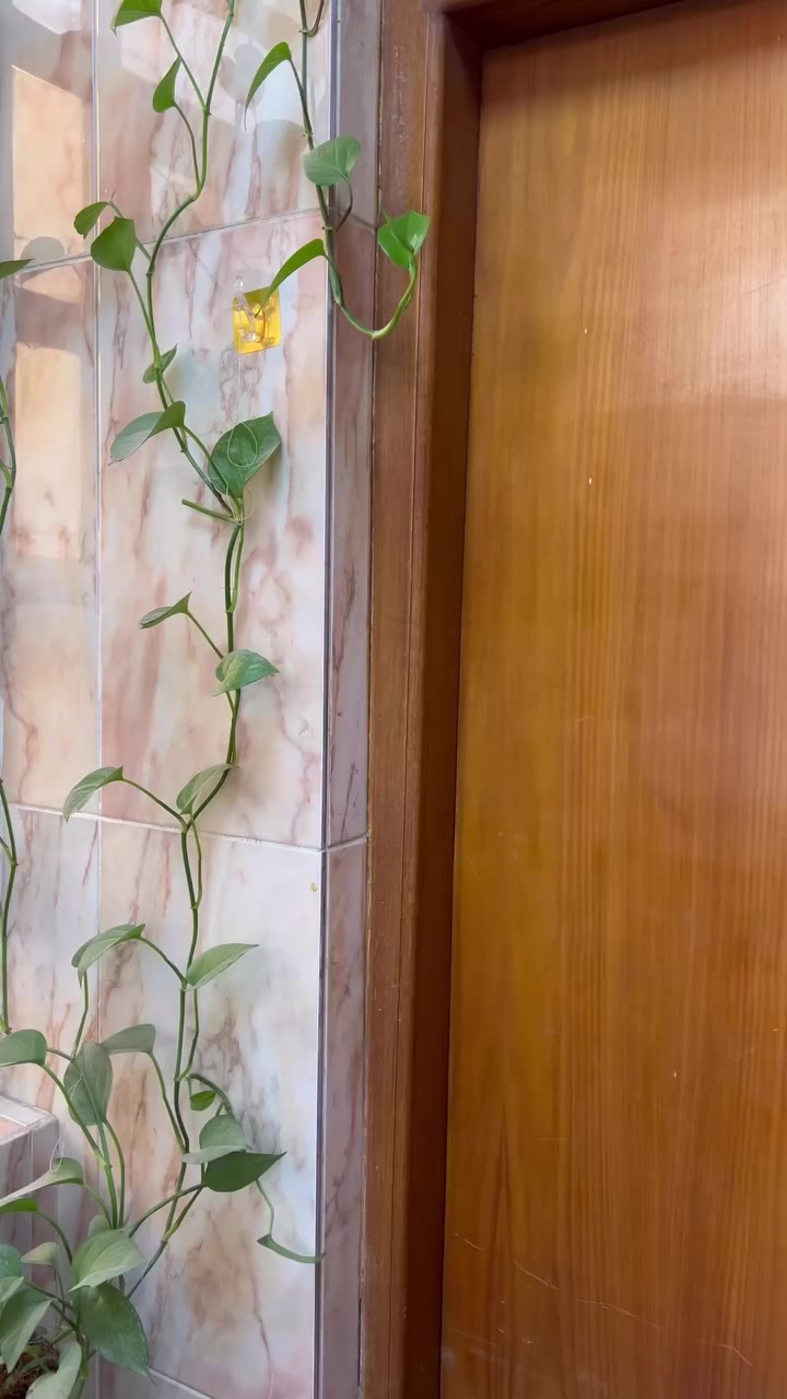 العرض الاقوى والأنسب للبنوتات😍
نفنوف بناتي متوفر ٣ الوان 🤍🩷💙
من عمر ٦ اشهر الى سنة ونص✔️
توفر بسعر ١٨ الف والتوصيل مجاني لجميع المحافظات🚚🤩
خامة وقماش ماستر كوالتي ويجنن 👼🤩
للتواصل راسلونا على الصفحة📩
واتساب***********
