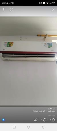 سبلت • طنين • حقلانية