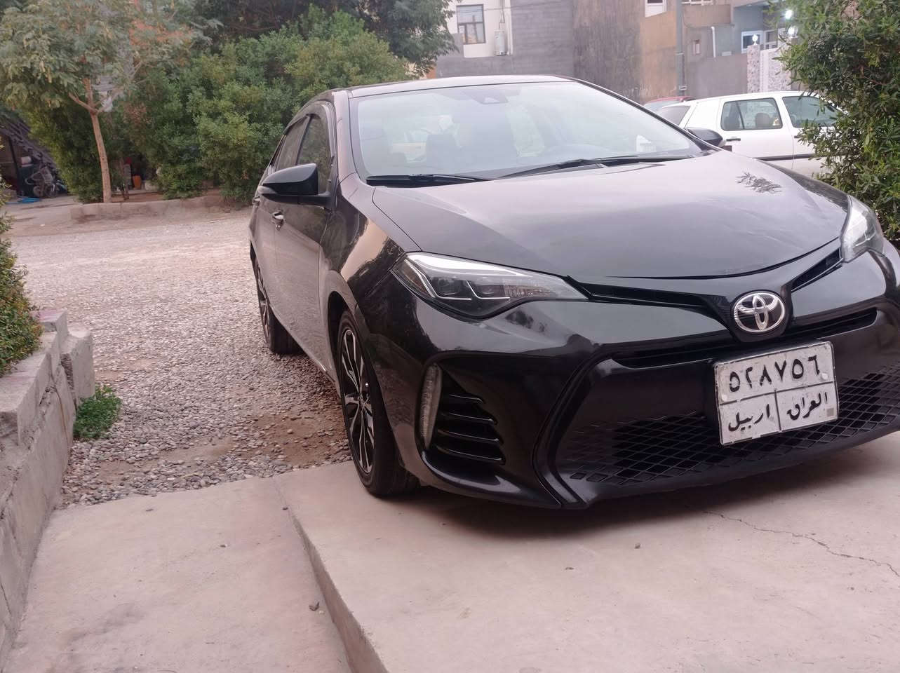 كورلا 18 se اسلايت فوول عدا البصمه....بسمي ل2030 بطاقه بانزين بدون صبغ وتبديل..فقط بارد شبر بلبونيد بدون دواخل...مكانه خانقين 145 وبي مجال لاتصال ***********
