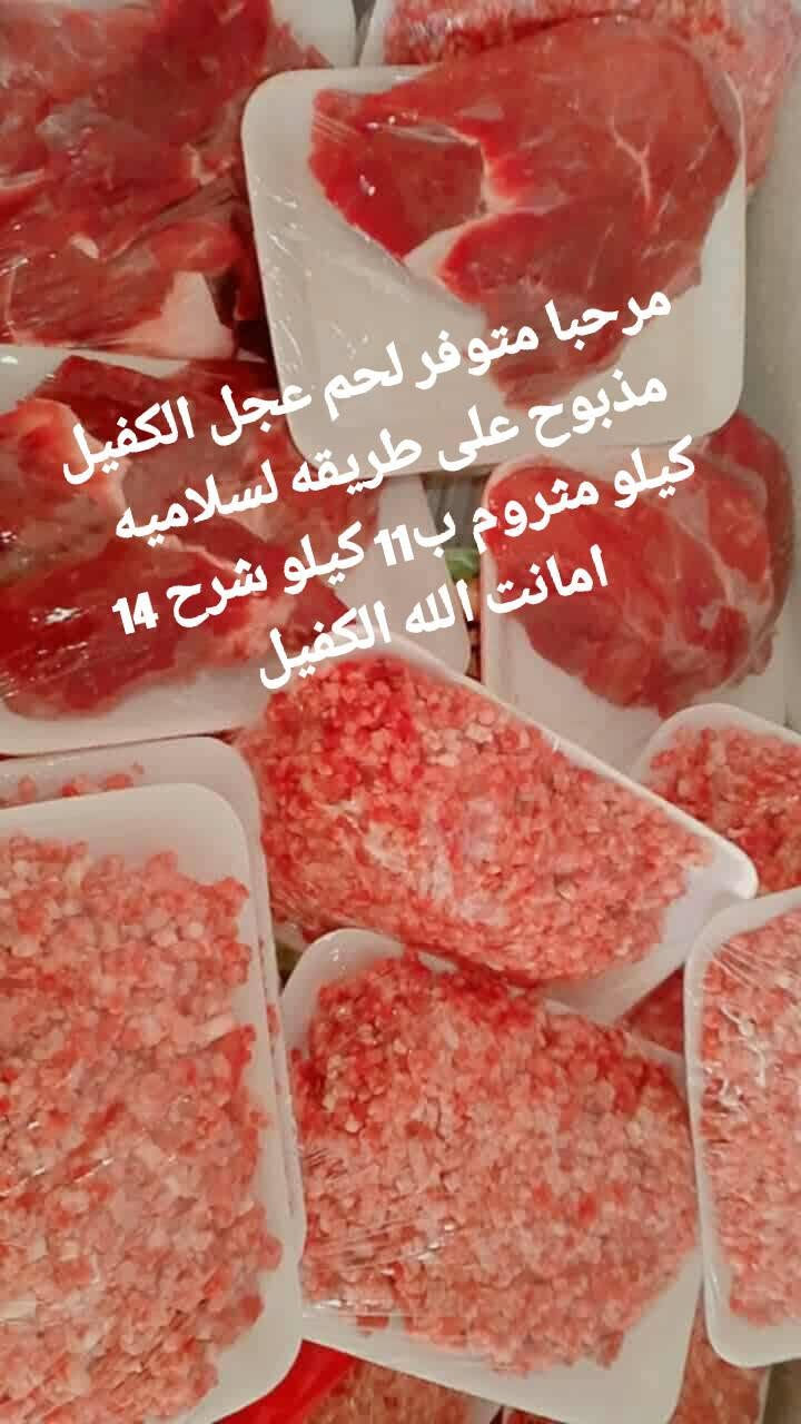مرحبا متوفر لحم عجل الكفيل مذبوح على طريقه لسلاميه
كيلو مثروم ب11 كيلو شرح 14 امانت الله الكفيل


**إذا كنت صاحب هذا الإعلان وتريد حذفه لأي سبب، رجاءا أرسل رسالة إلى الدعم الفني**