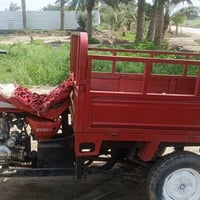 ستوته • نضيفه • مكفوله