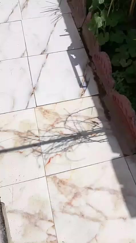 سلام عليكم بيع مكاني مدينة الصدر


**إذا كنت صاحب هذا الإعلان وتريد حذفه لأي سبب، رجاءا أرسل رسالة إلى الدعم الفني**