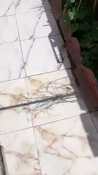 مدينة الصدر • مكاني للبيع