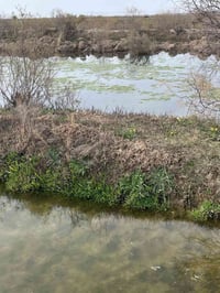 أرض زراعية • ١ دونم • قضاء الصويره