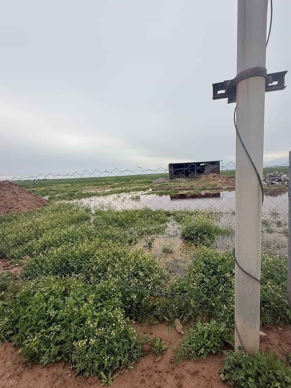 السلام عليكم
ارض للبيع 
بيها غرفة نام جلسة مع صحيات 
مساحة الارض 2150 يعني دونم اله 
مي كهرباء تبليط واصلات بلباب 
موقع الامسحلي قرية العدلة خلف قاعة دريم ستي
بيها تفاصيل نوب اتصل وتدلل 
***********
