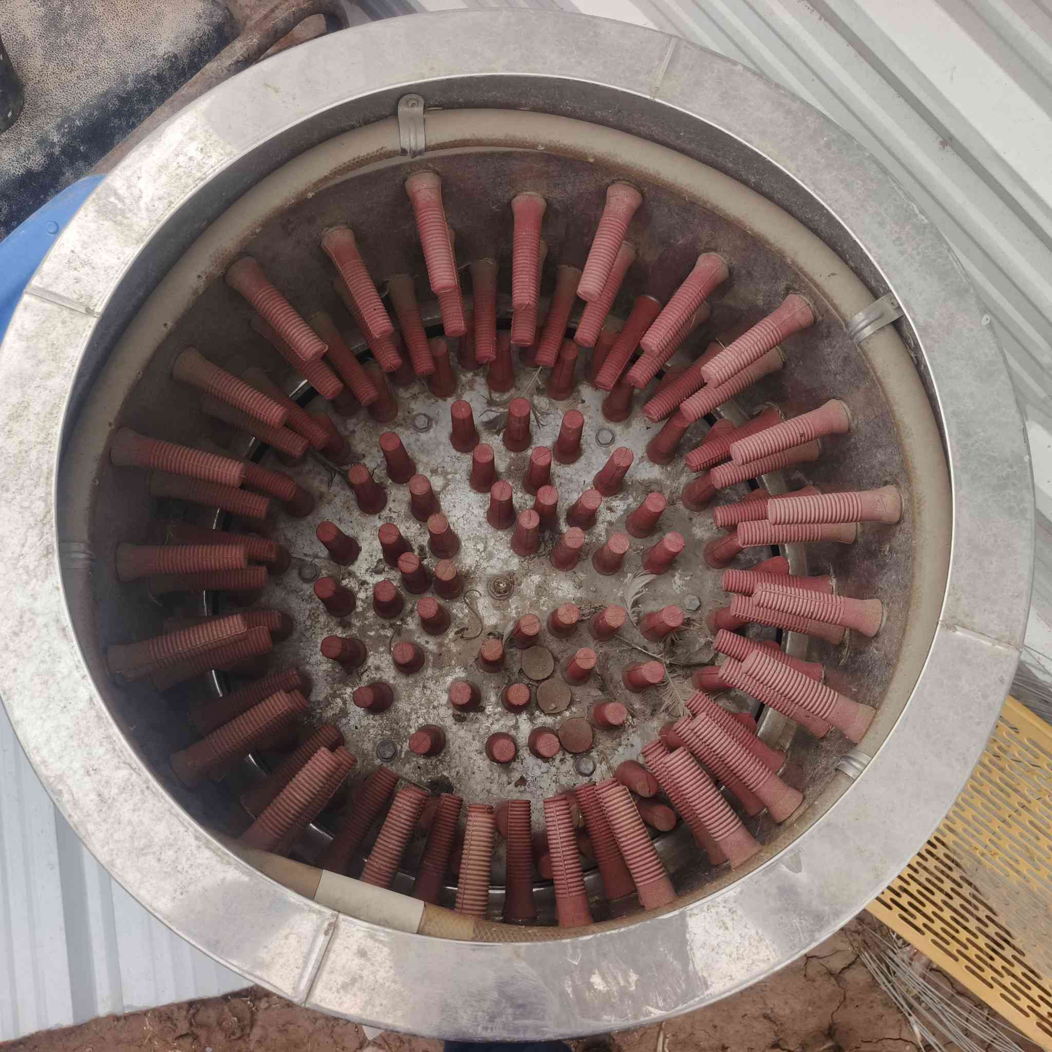 السلام عليكم
صماطه مال دجاج للبيع
جديده كلش نفس لي بفيديو
للاستفسار.    ***********
