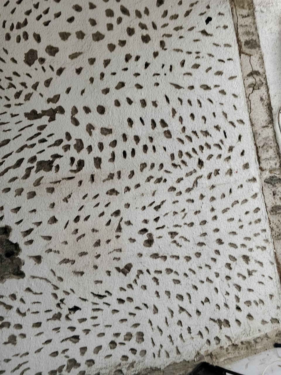 اسلام عليكم
كادر عمل لتكشير الجدران وتصعيد ورفع الأنقاض وتفليش صب ورباطات ورضيه واتساب ***********
