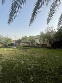 حلة المعميرة • ٦٥٠م • بناء حديث