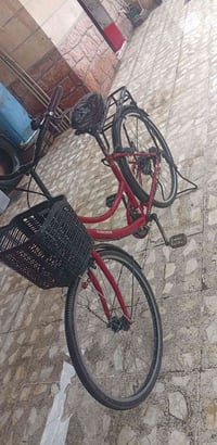 فول نظافه كير حساس حجم 26 07855585005