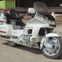 اريد مراوس بطح 07729638141