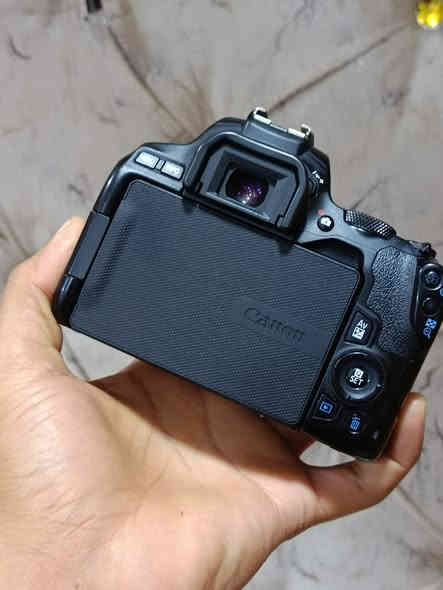 كانون 250d
دقته 24.3 ميكابكسل 
فيديو 4k جوده وضوح عالي 
ميزة تتبع الوجه فوكس سريع
اتصال واي فاي و بلوتوث 
السعر 550
مكاني كربلاء 
واتساب ***********
