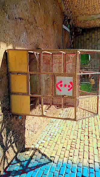 السلام عليكم رحلة مال قراءة وكتابة وقفص للبيع السكن ميسان ***********
