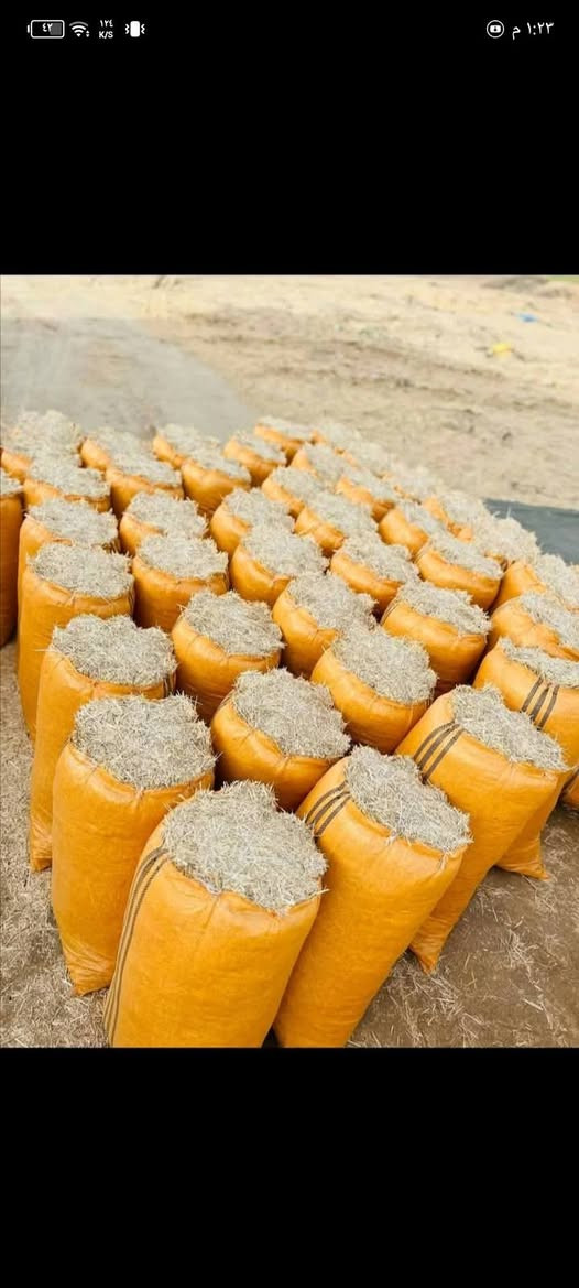 يوجد لدينا تبن ابيض للبيع جميع انواع القياسات توصيل الكل من محافظات حله بابل ديوانيه  شوملي طويريج القاسم كربلاء مسيب نجف محاويل اليوسفيه نتصل رقم ***********
