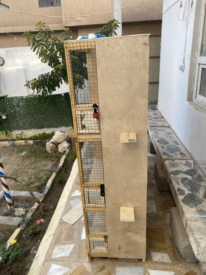 السلام عليكم
قفص للبيع جديد 
 خانات مقطع كامل 
شغل براغي وصمغ فوم وغرا مو بسامير 
سيم ثقيل مغلون 
شغل درجه اولى 
السعر من الاخير قفل 130 الف 
مكاني تكريت القادسيه 
***********
