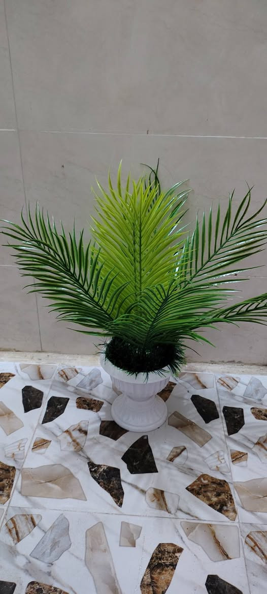 أشجار خضار وسنادين ورد بأشكال جميله وقياسات مختلفه جمله ومفرد للطلب راسل البيج او الاتصال ب الرقم *********** واتساب نفس الرقم
