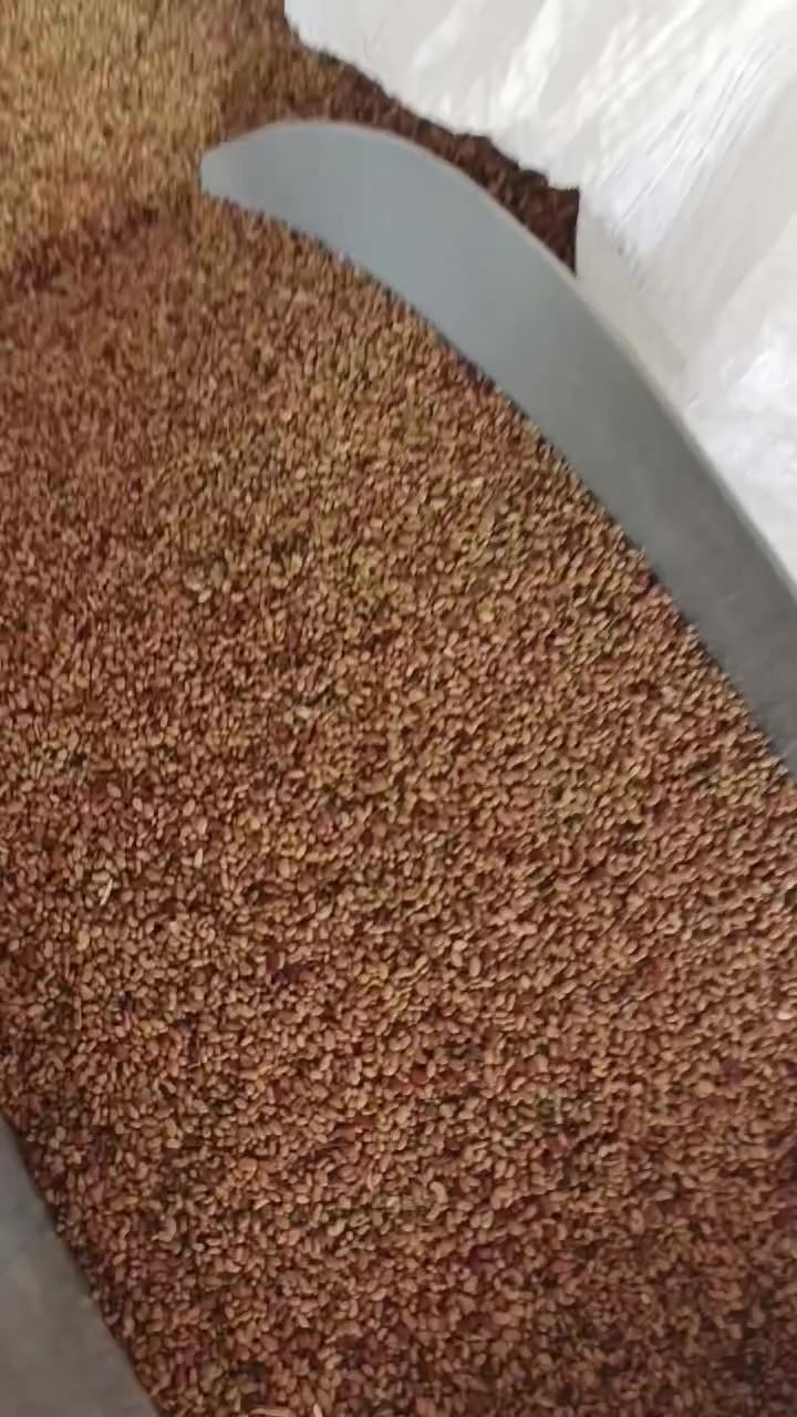 ‏بذور جت عراقي للبيع درجة أولى خالي من الشوائب
‏سعر الكيلو 9 الاف
‏
‏العنوان/ قضاء أبو غريب - الحصوة
‏للتواصل/ *********** 
‏***********
