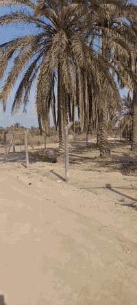 حلة الطهمازية • ٢٥٠م • طابو زراعي