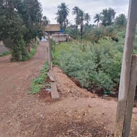 نصف دونم • بيت ٢٥٠م • ميسان بساتين دفاس