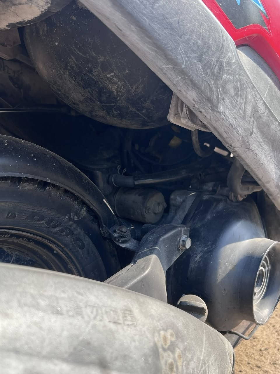 ماكس عدله بلاديه مكفوله
*********** 
مكان البياع ماكو كل نقص 
بلاديه كلها 
سعرها ٧٠٠ وبيها مجال
