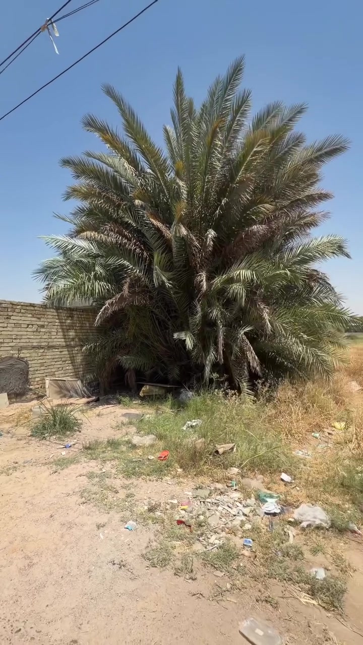 🏡 فرصة مميزة للسكن في بغداد – الدورة البعيثة

إذا تبحث عن قطعة أرض تبني عليها بيت العمر، فهاي فرصتك.

📍 الموقع: الدورة – البعيثة، قرب مدرسة الأحرار.
📐 المساحة: 300 متر مربع.
📄 جنس الأرض: طابو زراعي سند (25)، قرار محكمة من صاحب السند مباشرة.
🚗 تبعد عن السدة حوالي 250 متر فقط.

✅ خدمات متوفرة:

* كهرباء
* شوارع مبلطة
* ميسالك
* منطقة سكنية هادئة

الميزة الأهم أن الشارع مخصص للسكن فقط، لذلك المكان مناسب للعوائل والباحثين عن الهدوء والاستقرار، بعيدًا عن الإزعاج والنشاطات التجارية.

إذا كنت تريد تبني بيتك في منطقة واعدة ومخدومة، فلا تضيع الفرصة.

📞 للاستفسار والحجز، راسلنا الآن قبل نفاد القطع: ***********

 #عقارات_بغداد #البوعيثة #قطعة_ارض #اكسبلور
