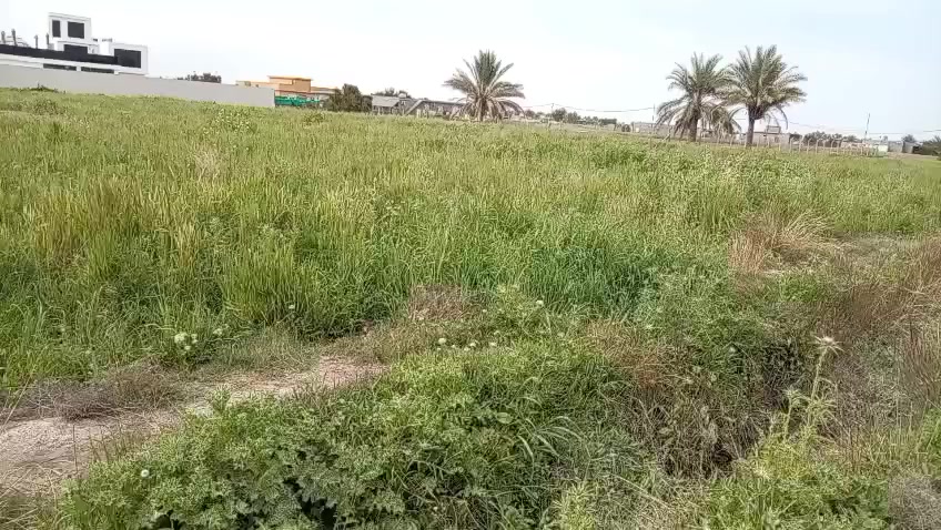 عندي دوانم للبيع سعر الدونم55 مليون منطقة الحمدانية الثانيه ابو غريب سند 25 تحويل ثاني يوم للاستفسار على الرقم ***********
