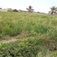 الحمدانية الثانيه • ٢٥٠٠م • سند ٢٥