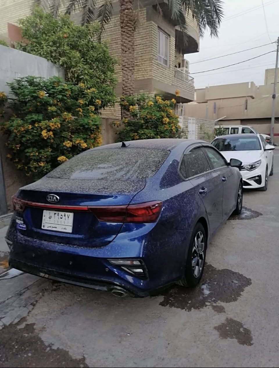 فورتي 2019 وارد امريكي حادثه جاملغ وباب خلفي سيارة جديدة كير ومكينة وصدر وتبريد خير من الله رقم بغداد بسمي السعر 127 للاستفسار ***********
