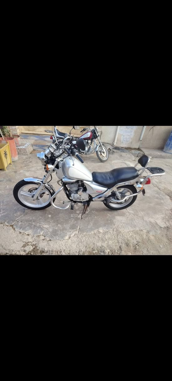 السلام عليكم شباب ماطوز ديلم للبيع اوو مروس بسنكي ناصي السعر ٧٥٠ وبي مجال***********
