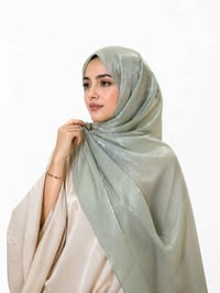 شال أورجانزا • فاتح إسطنبول