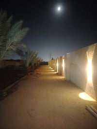 النجف • ١٠٠٠م • حديقة ونخل