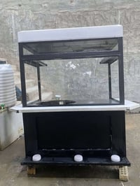 عربانة حديثة • مناسبة حلويات • كربلاء