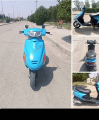 ذبانه • فراشه • جديده