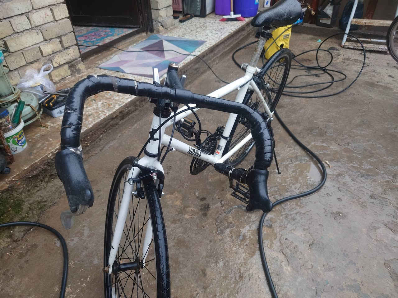 السلام عليكم اخواني عندي هذا الرود بلادي رايده 100 بي مجال رقمي***********
