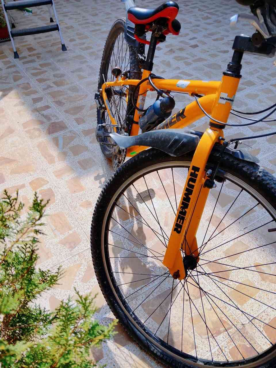 بايزكل همر للبيع🚲🔥
حجم 29🔥
كلو شغال ما بي اي نقوصات✅
البازكل جديد على ايدي✅
قيم سعرو اذا عجبني ابيعلك هوا✅
العنوان موصل حي العربي✅


**إذا كنت صاحب هذا الإعلان وتريد حذفه لأي سبب، رجاءا أرسل رسالة إلى الدعم الفني**