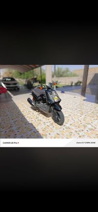 شباب سكنس جبلي 300للبيع ‭٠٧٧٣ ٧٣٧ ٥٦٢٣‬