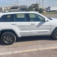 لاريدو • ٢٠١٩ • مكفولة