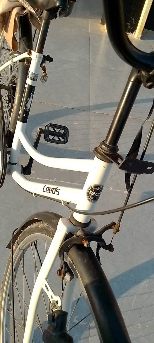 السلام عليكم باسكال عبد الحليم نضافه 100/90باسكل نضيف السعر 110وبي مجال حك الجيا فقط .شراي اتصل *********** مكاني يارمجه الخامسة
