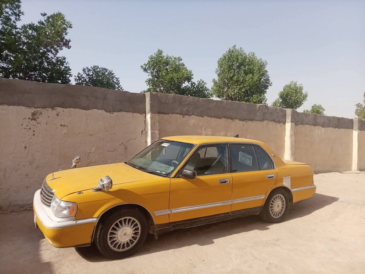 السلام عليكم ارنب للبيع ***********
