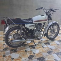 تايگر • ٢٠٢٠ • ما بي عيب