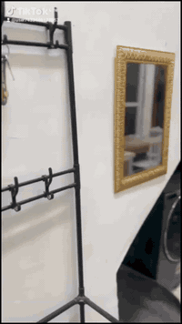 🏡 بيت للإيجار اليومي في كربلاء (للعوائل فقط)
📍 أول فرع داخل القطع – بداية شارع المخيم الحسيني
قرب سيطرة السعدية وخلف مول الحارث

✨ البيت طابق أرضي ومجهز بالكامل
📌 غرفة (٤ قريولات + فراشات إضافية) + صالة كبيرة
📌 مطبخ كامل التجهيز + غسالة
📌 حمام + شرقية + غربية + ماء حار
📌 كهرباء مستمرة 24 ساعة
🚗 سيارات العتبة توصل للمخيم الحسيني ومنه للحرم مباشرة

🕛 الحجز من 12 الظهر إلى 12 ثاني يوم (مع مراعاة التأخير)
💵 الإيجار اليومي:75  ألف فقط – البيت كامل وليس نفرات

🔔 ملاحظة مهمة:
يُشترط إحضار الهويات الأصلية التي تُثبت صلة القرابة بين أفراد العائلة،
ويُقبل حتى الهوية القديمة بشرط أن تكون أصلية وغير مستنسخة.
⚠️ لا نقبل بأي عقد خارج المحكمة، لطفًا الالتزام.

📲 للحجز واتساب فقط: ***********

#كربلاء #بيت_للإيجار #زوار_الحسين #قرب_الحرم #سكن_الزوار
